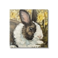Stupell Rabbit Blooming Narcisi Priroda Životinje I Insekti Slikarska Galerija Umotana Platnena Štampa Zidna
