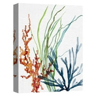 RemekEpotela umjetnička galerija Ocean Magic I & II Marine Botanical Carol Robinson Platno Art Print