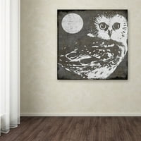 Zaštitni znak Likovna umjetnost Owl 3 Umjetnost platna u boji Pekara